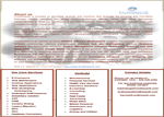 Frontlinesoft Flyer
